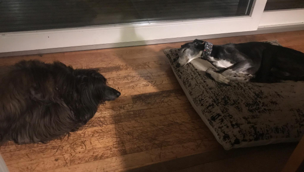 "The best place to be"